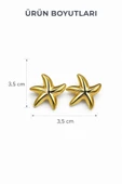 Gold Star Çivi Küpe thumbnail 4
