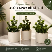 3'lü Yapay Para ve Bereket Ağacı Seti thumbnail 3