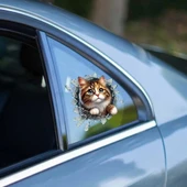 Fulcar Stray Araç Stickerı thumbnail 2