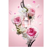 Viktor & Rolf Flowerbomb Edp 50 ml thumbnail 1