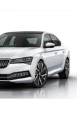 SKODA Fabia, Octavia, Karoq, Kodiaq, Kamiq, Scala - Buzul Metalik Beyaz LS9R - Rötuş Boyası 25ml. thumbnail 1