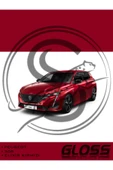Peugeot 308/e308 Elixir Kırmızı EVH - sedefli Profesyonel Çizik Ve Taş izi Giderici Rötuş Boyası 20ml. thumbnail 1