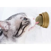 Kedi Otu Oyun Topu thumbnail 2