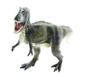 Sert Plastik Dinozor Figür - T-Rex thumbnail 5