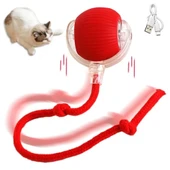 Şarjlı Kedi Oyuncağı thumbnail 1