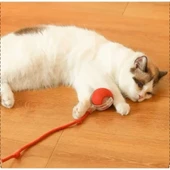 Şarjlı Kedi Oyuncağı thumbnail 5