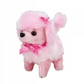 Sevimli Köpek Poodle thumbnail 4