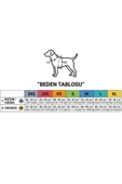Benetton Göğüs Tasması Yeşil 2 Cm thumbnail 3