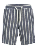 Jack&Jones Erkek Sort - Lacivert thumbnail 6