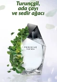 AVON PERCEİVE ERKEK PARFÜM EDT 100 ML thumbnail 2