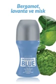 Individual Blue Erkek Roll On 50 Ml. thumbnail 2