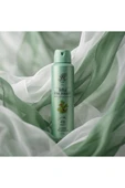 Rebul Pine Forest Erkek Sprey Deodorant 150 ml thumbnail 4