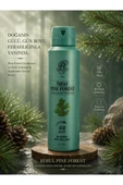 Rebul Pine Forest Erkek Sprey Deodorant 150 ml thumbnail 2