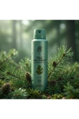 Rebul Pine Forest Erkek Sprey Deodorant 150 ml thumbnail 1