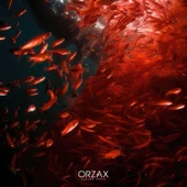 Ocean Krill Oil 500 mg 30 Kapsül thumbnail 6
