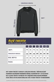 Erkek Bej Basic Bisiklet Yaka Sweatshirt thumbnail 4