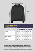 Erkek Gri Basic Bisiklet Yaka Sweatshirt thumbnail 4