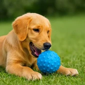 Petzoom Dikenli Oyun Topu thumbnail 4