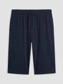 LC WAIKIKI Lacivert Regular Fit Erkek Şort thumbnail 5