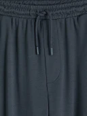 LC WAIKIKI Gri Regular Fit Erkek Şort thumbnail 2