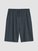 LC WAIKIKI Gri Regular Fit Erkek Şort thumbnail 1