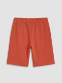 LC WAIKIKI Turuncu Regular Fit Erkek Şort thumbnail 7