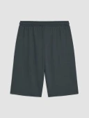 LC WAIKIKI Gri Regular Fit Erkek Şort thumbnail 3
