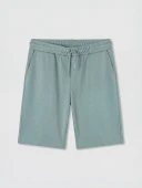 LC WAIKIKI Mavi Regular Fit Erkek Şort thumbnail 1