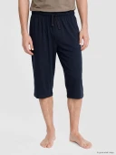 LC WAIKIKI Lacivert Regular Fit Erkek Şort thumbnail 2
