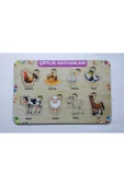 Kubbehan Ahşap Puzzle 10'lu Set Eğitici Oyuncak thumbnail 2