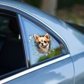 Fulcar Chiuahua Araç Stickerı thumbnail 1