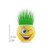Çim Adam Saksı Emoji Figürlü 1 Adet thumbnail 4