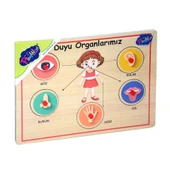 166/167 Onyıl, Ahşap Tutmalı Organlar thumbnail 1