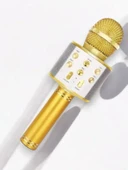 KAREOKE MIKROFON thumbnail 4