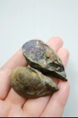 Violet & Bronze Plume Karadeniz Akik Çifti thumbnail 7