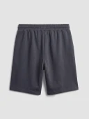 LC WAIKIKI Gri Regular Fit Erkek Şort thumbnail 6