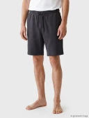 LC WAIKIKI Gri Regular Fit Erkek Şort thumbnail 2