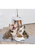 PlastArt Pet Mama Kabı | 2 Lt. thumbnail 8