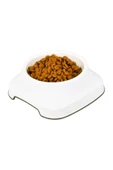 PlastArt Pet Mama Kabı | 2 Lt. thumbnail 7