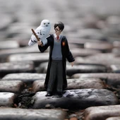 Pttr Hedwig 42633 thumbnail 3