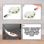 RAİD 2 PARÇA  KARINCA YEMİ (4915) thumbnail 2
