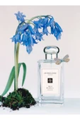 Wild Bluebell Cologne thumbnail 5