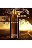 Aoud Forest EDP 100ml thumbnail 5