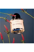 Bibliotheque EDP 100ml Unisex Parfum thumbnail 6