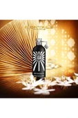 Fantastic Oud EDP 100ml Unisex Parfum thumbnail 2