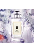 Wild Bluebell Cologne thumbnail 4