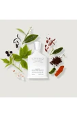 Silver Mountain Water EDP 100ml thumbnail 5