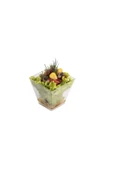 Propack 50adet 200cc Prizma Salata Kabı thumbnail 1