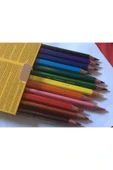 Bic Bıc Evolutıon Trıangle Üçgen Jumbo Kuru Boya 12 Renk thumbnail 2