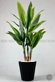 BİÇİÇEK Luna Saksı 37 Cm Si̇yah thumbnail 3